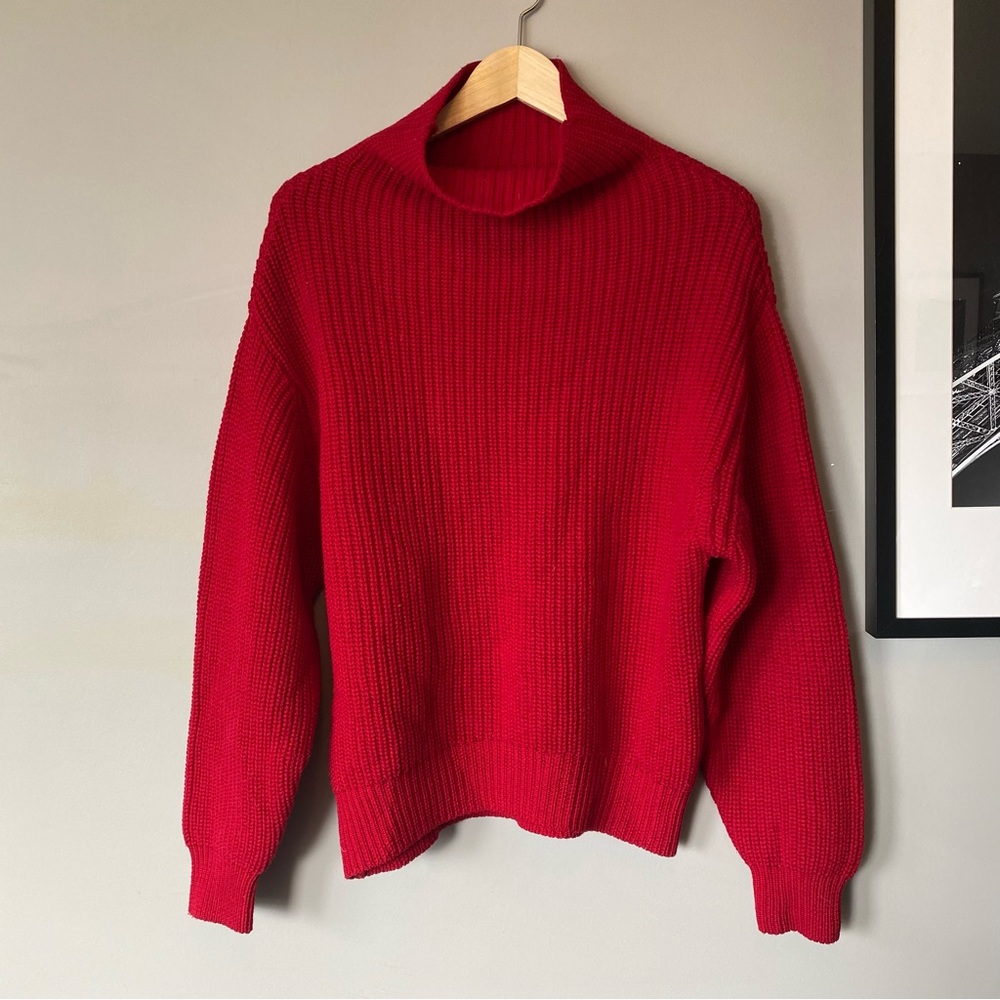 Aritzia Wilfred Montpellier Turtleneck (S)